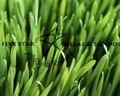 5 Star land opportunity @ 264 sq wah - Land - Pattaya East - East Pattaya